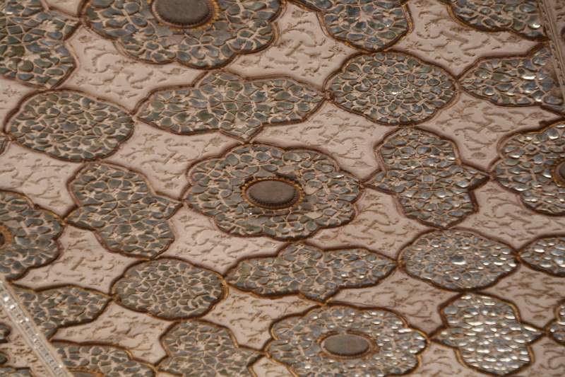 India & Nepal 2011 - 1409